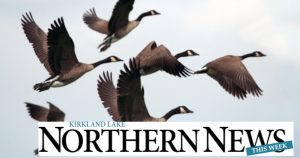 Canada Geese Xavier Kataquapit columnist writer 'The Birds Are Calling For Spring'
